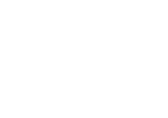Hanna Höner